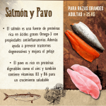 Carnilove-Adult Large Salmón y Pavo (1)