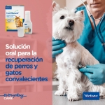 virbac-Nutribound para Perro 3x150ml (1)