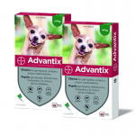 Advantix Pack Ahorro 8 pipetas para perros mini (0-4KG)